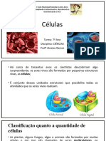 Células