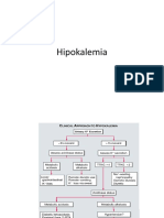 Hipokalemia Dan Hiponatremia