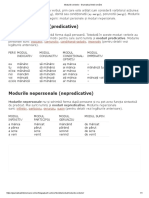 Modurile Verbelor - Gramatica Limbii Române