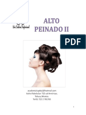 Alto Peinado Ii | PDF | Pelo | Piel
