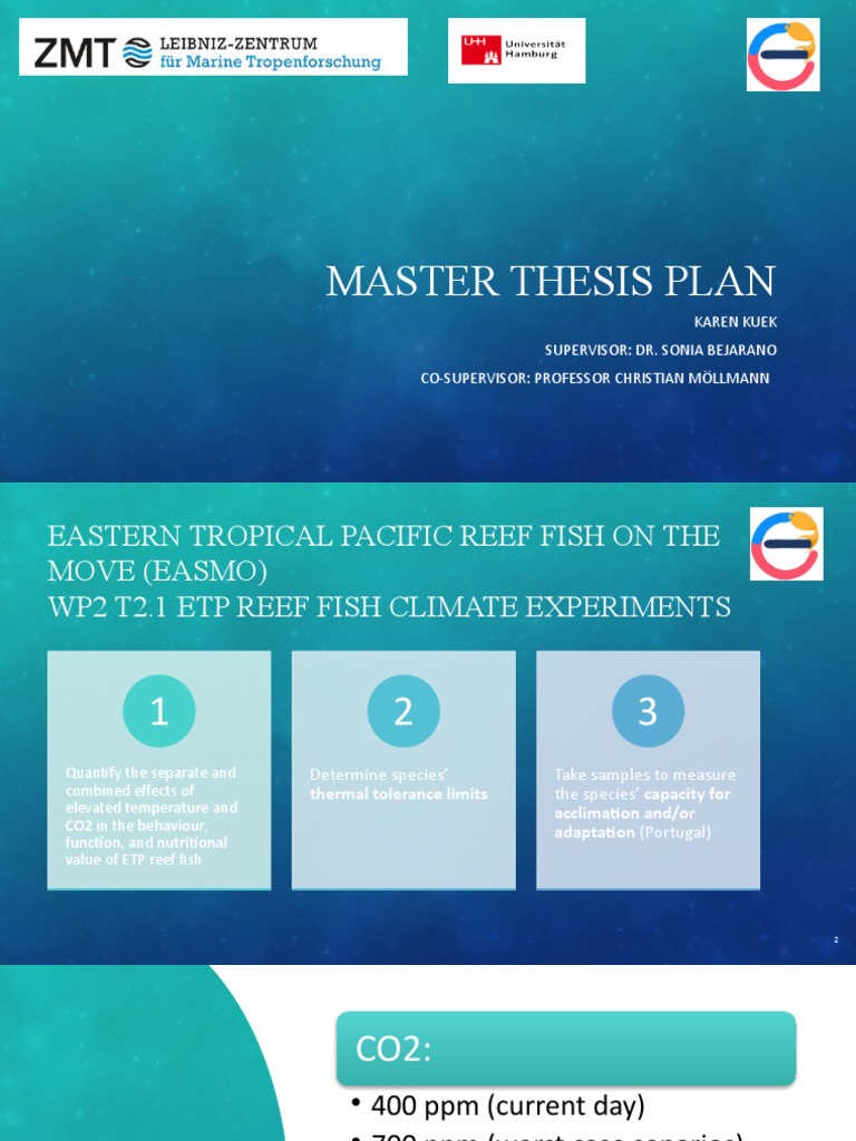 Master Thesis Plan Example