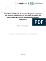 Deteção e Identificação de Bactérias Do Género Leptospira em Amostras de Ratos e Solo em Dois Distritos de Portugal. Delgado, FF 2019