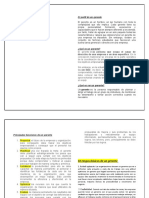 El Perfil Del Gerente Cano