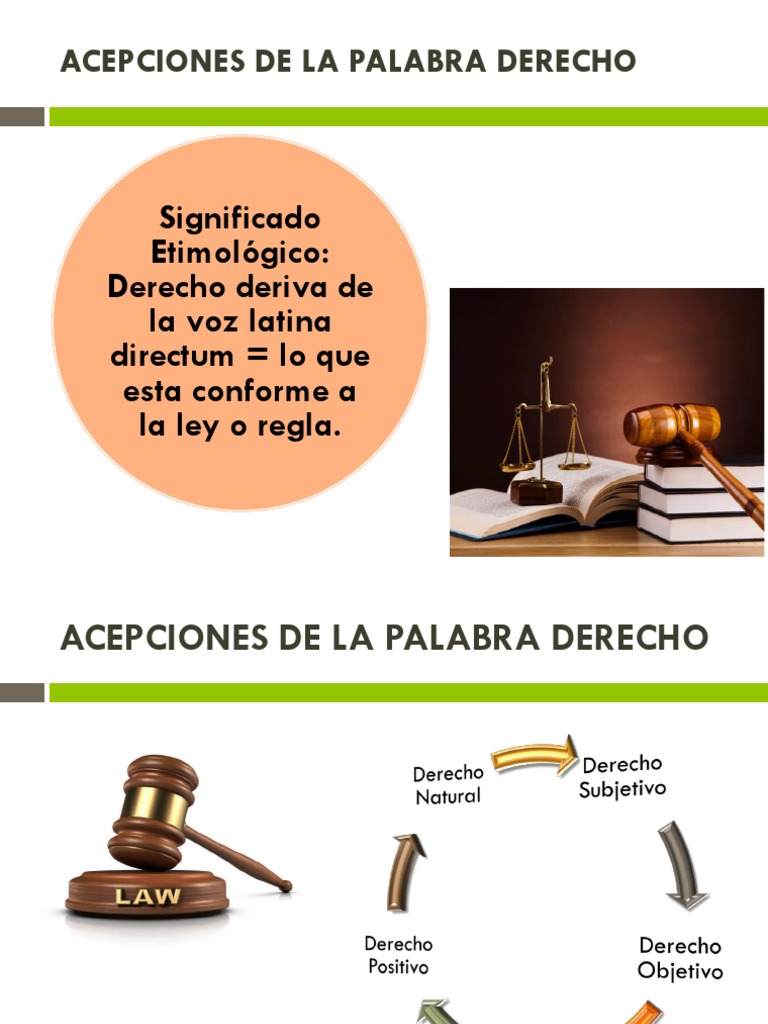 Tema 3 Acepciones de La Palabra Derecho PDF