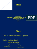 Blood: A Concise Overview of Cells, Plasma, and the Immune Response