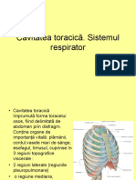 Curs 8. Cavitatea Toracica. Sistemul Respirator