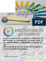 INDICADORES DE PH CASEROS