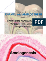 Enamel and Amelogenesis: Sharon Isidro-Alvarez, DMD, Ph.D. Our Lady of Fatima University College of Dentistry