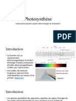 Photosynthèse Pigments