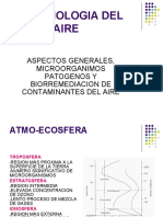 PPT MICROBIOTA AEREA