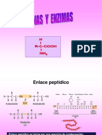 PTT Proteinas y Enzimas