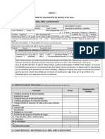 Informe de Valoración Del Riesgo de Desproteccion Familiar