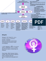 Mapa Feminismos