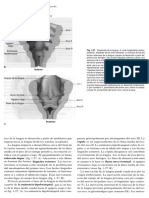 Ortodoncia Bishara 644 Pag-32