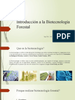 Introducción a la Biotecnología Forestal: Aplicaciones, Áreas de Estudio y Desafíos
