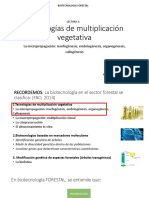 Tecnologias Multiplicacion Vegetativa