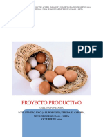Producción huevos AAA gallinas Guamal