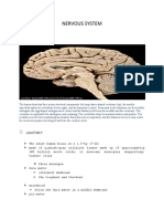 Anatomy of Brain