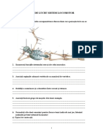 Biologie Xi Fișă-De-Lucru Sistem-Locomotor