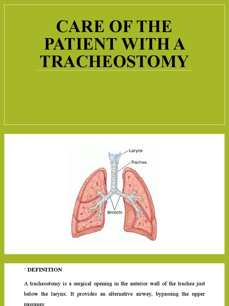 Care of The Patient With A Tracheostomy | PDF | Respiratory Tract | Lung