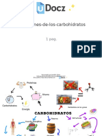 Funciones de Los Carbohidratos 182759 Downloable 682509