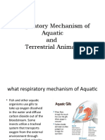 Respiratory Mechanism of Aquatic