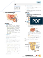 Sistem Reproduksi