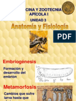 Medicina Y Zootecnia Apícola I: Unidad 3