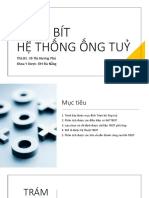 TRÁM BÍT HỆ THỐNG ỐNG TUỶ