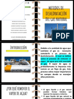 Deshidratacion Del Gas Natural - PPT