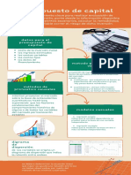 Infografía Presupuesto de Capital