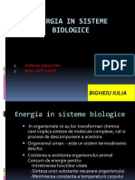 Energia in Sisteme Biologice
