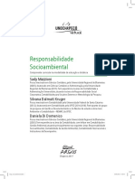 Resp Socioambiental PDF PDF(1)