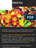 rezumat-fructe