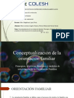 Principios, Objetivos, Funcionesy Ámbitos de Intervención de La Orientación Familiar.