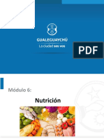 Modulo 6 Nutrición