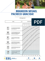 Hello Brandon Misael Pacheco Gracida!: A0 (Beginner)