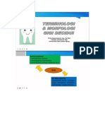 KP DRG PRIMA (TERMINOLOGI DAN MORFOLOGI GIGI DECIDUI)