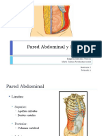 Pared Abdominal y Hernia