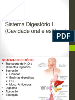 Sistema Digestório I - Cavidade Oral e Esôfago
