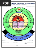 Major Project: Delhi Public Senior Secondary School, Satna