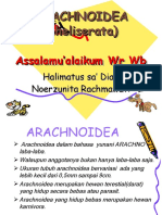 Arachnoid A