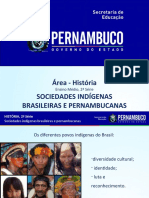 Área - História Sociedades Indígenas Brasileiras E Pernambucanas