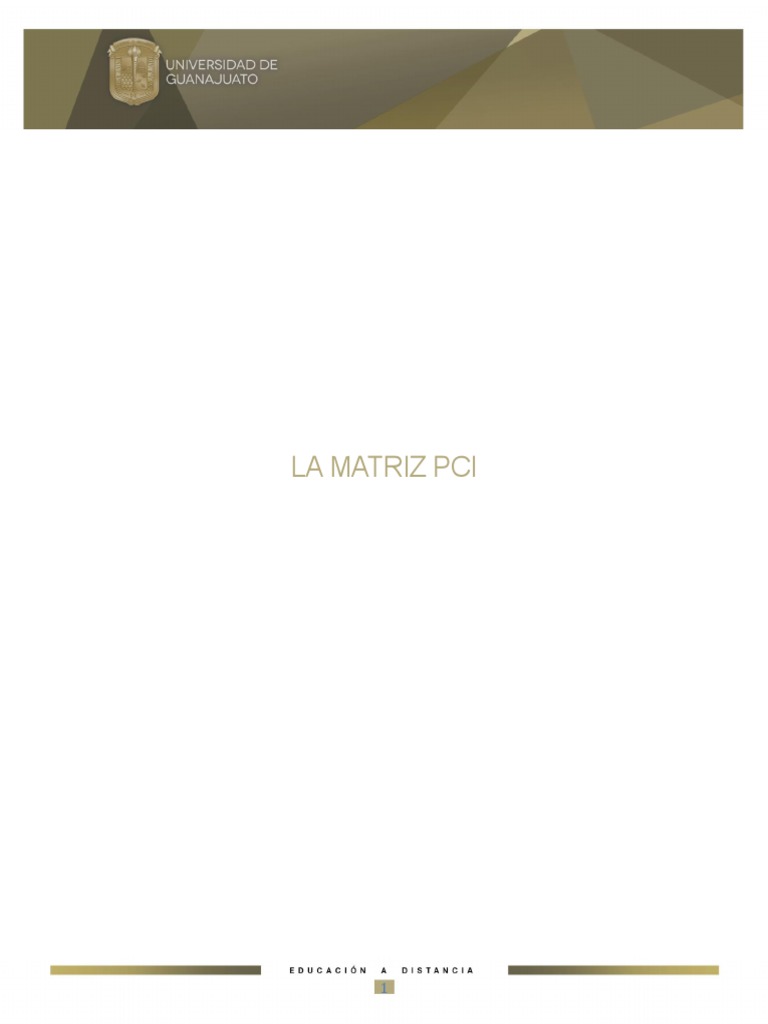 Matriz PCI | PDF | Business | Marketing
