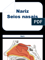 07 Nariz Sinus