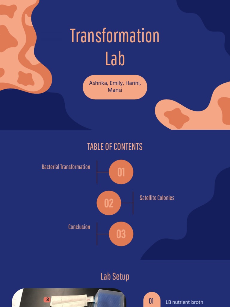 Bacterial Transformation Lab PDF Transformation Bacteria