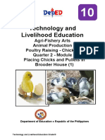 Tle10 - Afa - Animalprodpoultry - q2 - Mod3 - Placingchicks - Pulletsinbrooderhouse (1) - v3 (42 Pages)