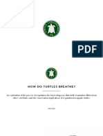 How Do Turtles Breathe