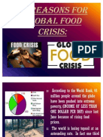 Food Crisis II