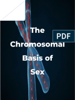 Chromosomal Basis of Sex Review Notes for Exam on Genetics